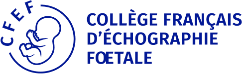 Logo Cfef